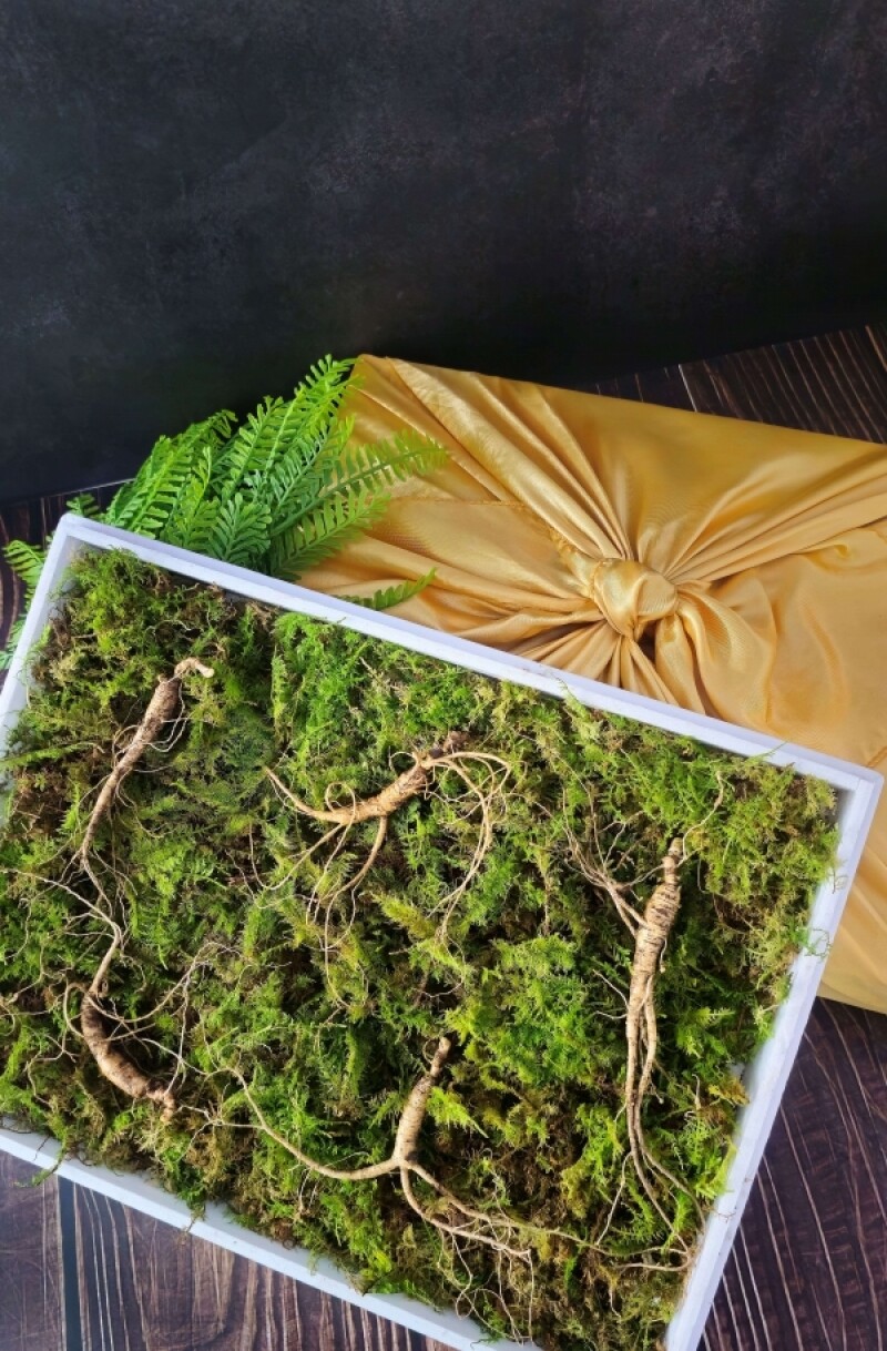 강원더몰,삼선생 프리미엄 산양산삼 6-7년근 5뿌리