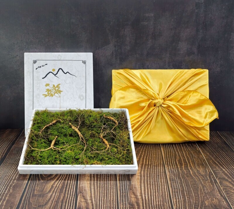 원주몰,삼선생 프리미엄 산양산삼 6-7년근 5뿌리