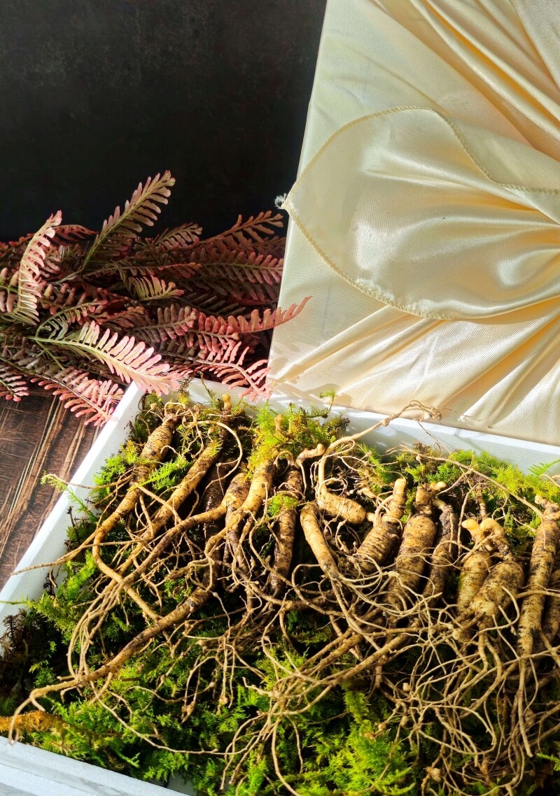 원주몰,삼선생 프리미엄 산양산삼 6-7년근 50g