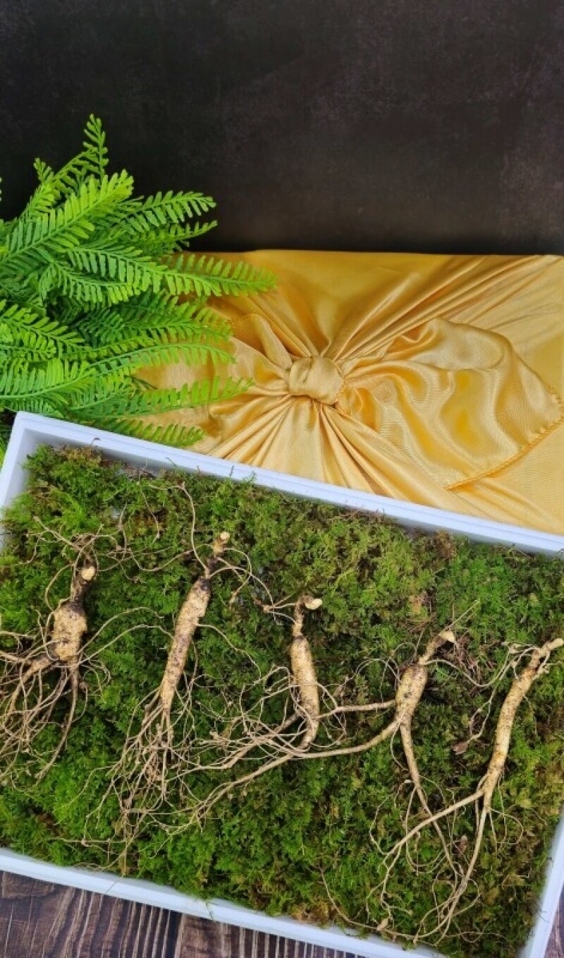 원주몰,삼선생 프리미엄 산양산삼 8년근 3뿌리