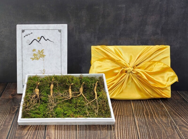 원주몰,삼선생 프리미엄 산양산삼 8년근 3뿌리