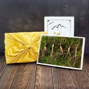 삼선생 프리미엄 산양산삼 10년근 3뿌리