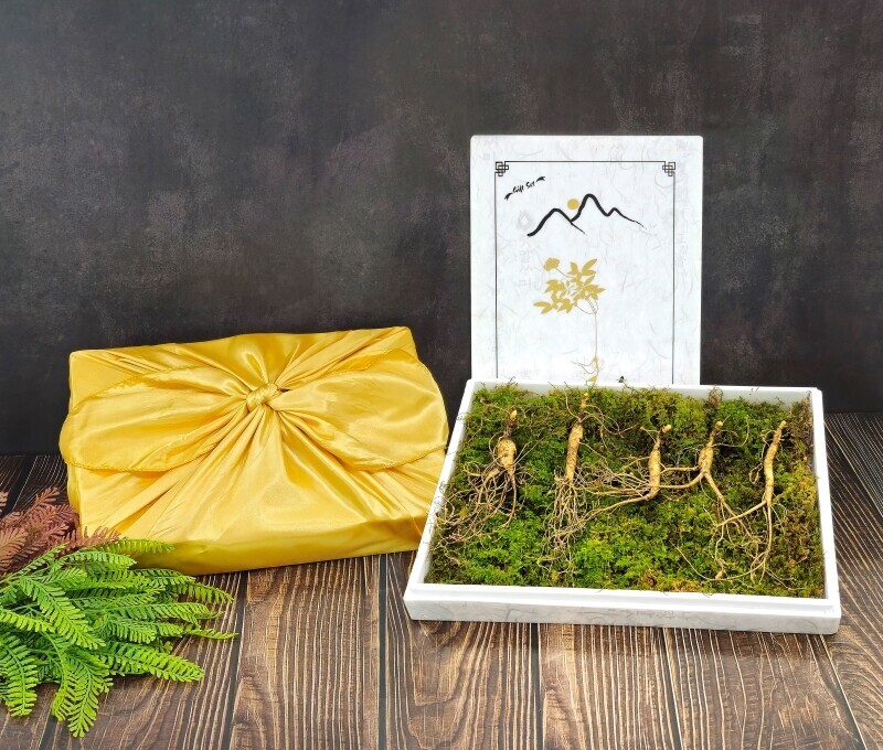 원주몰,삼선생 프리미엄 산양산삼 10년근 3뿌리